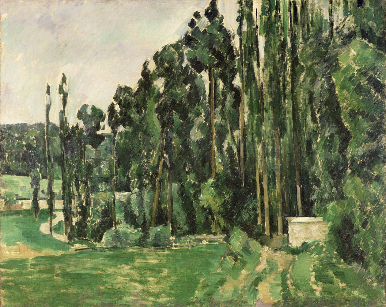 The Poplars, c.1879-82 (óleo sobre tela) de Paul Cézanne