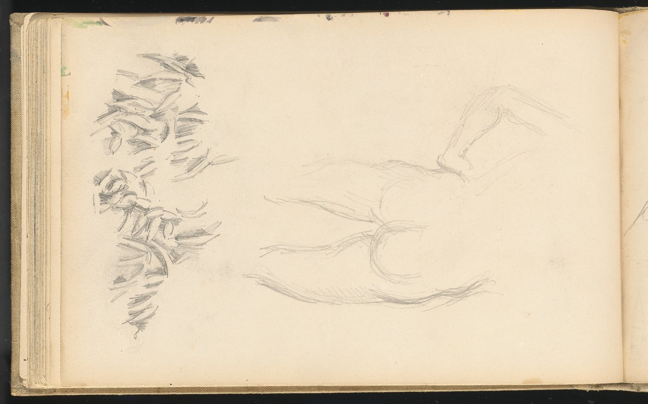 Um nu e folhagem de Paul Cézanne