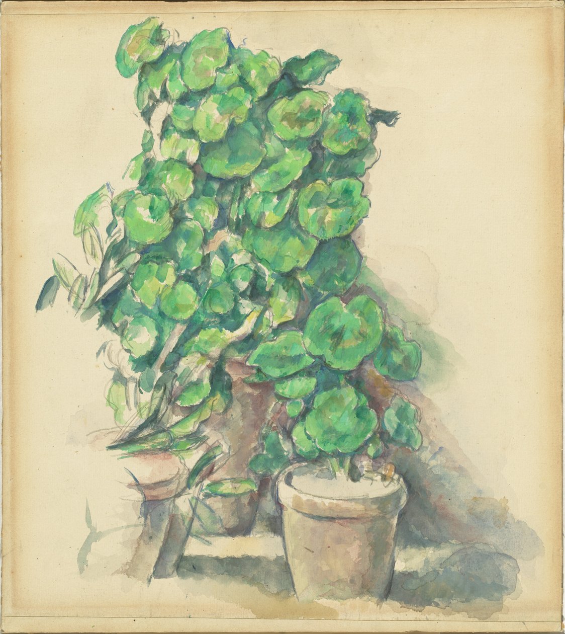 Gerânios de Paul Cézanne