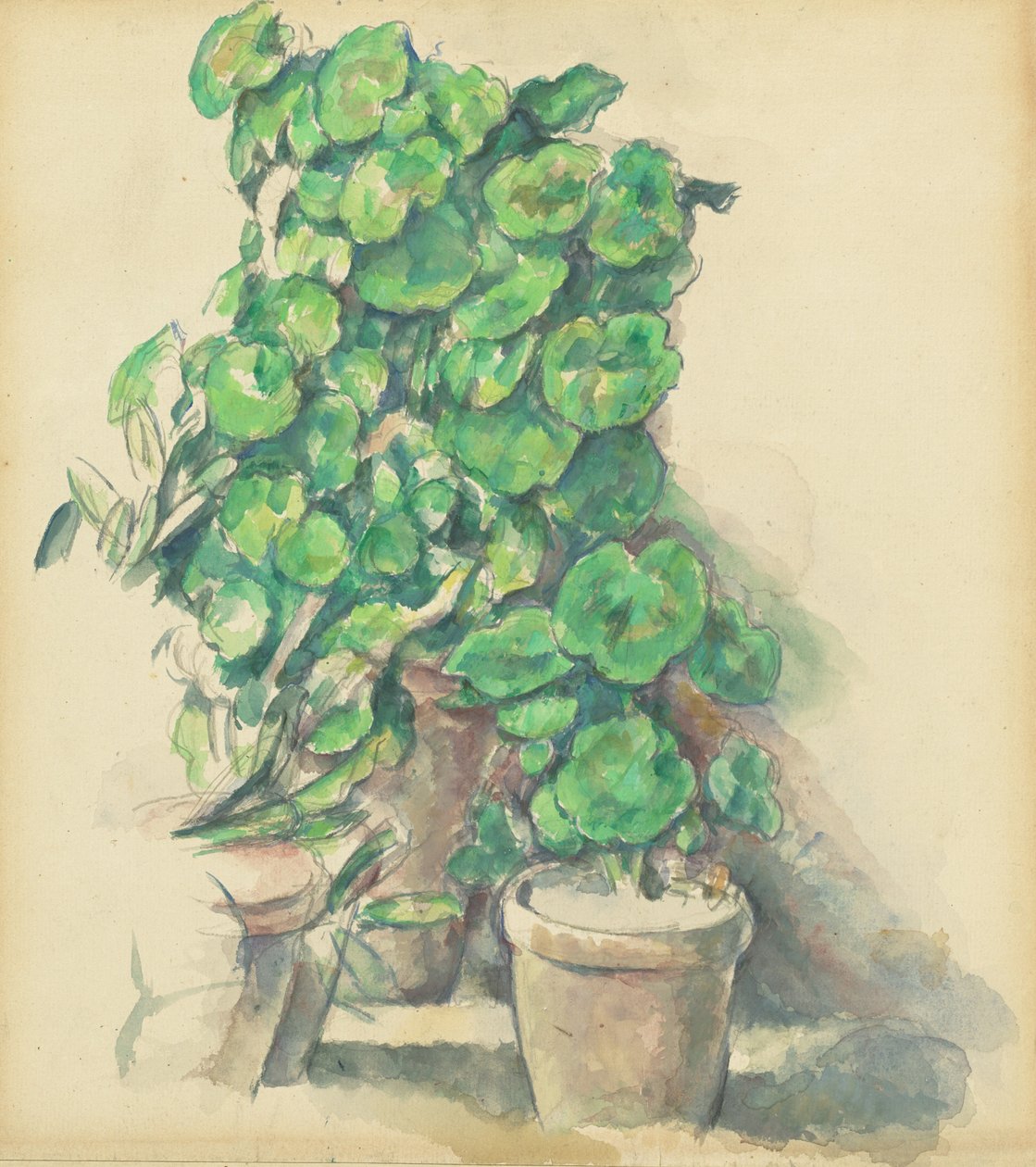 Gerânios, 18881890. de Paul Cézanne