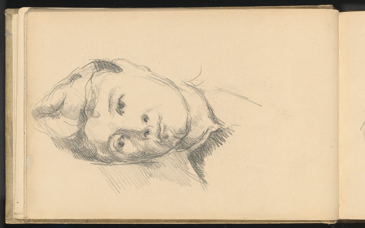 Madame Cézanne de Paul Cézanne