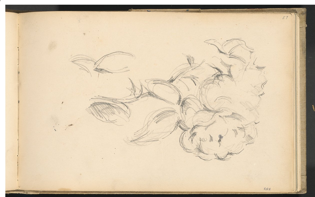 Peônias de Paul Cézanne