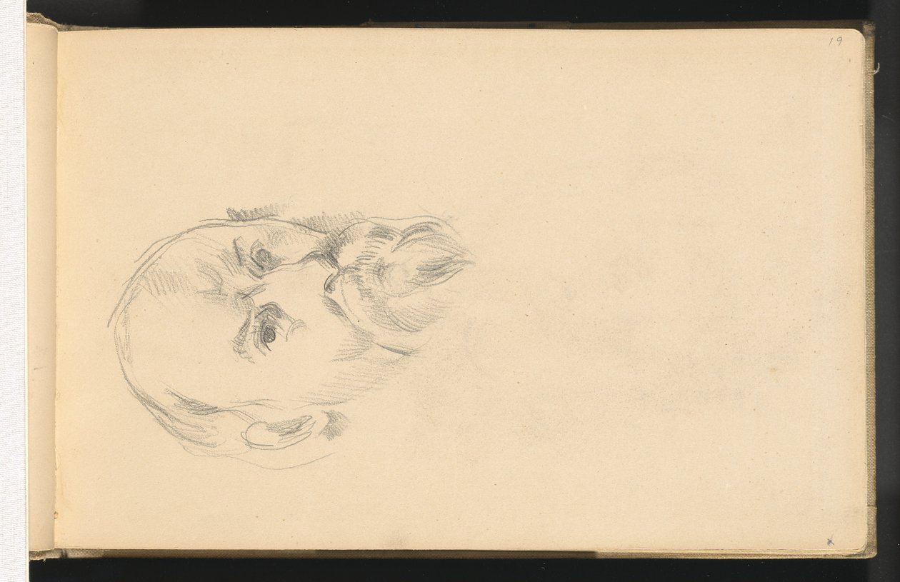 Auto-retrato de Paul Cézanne