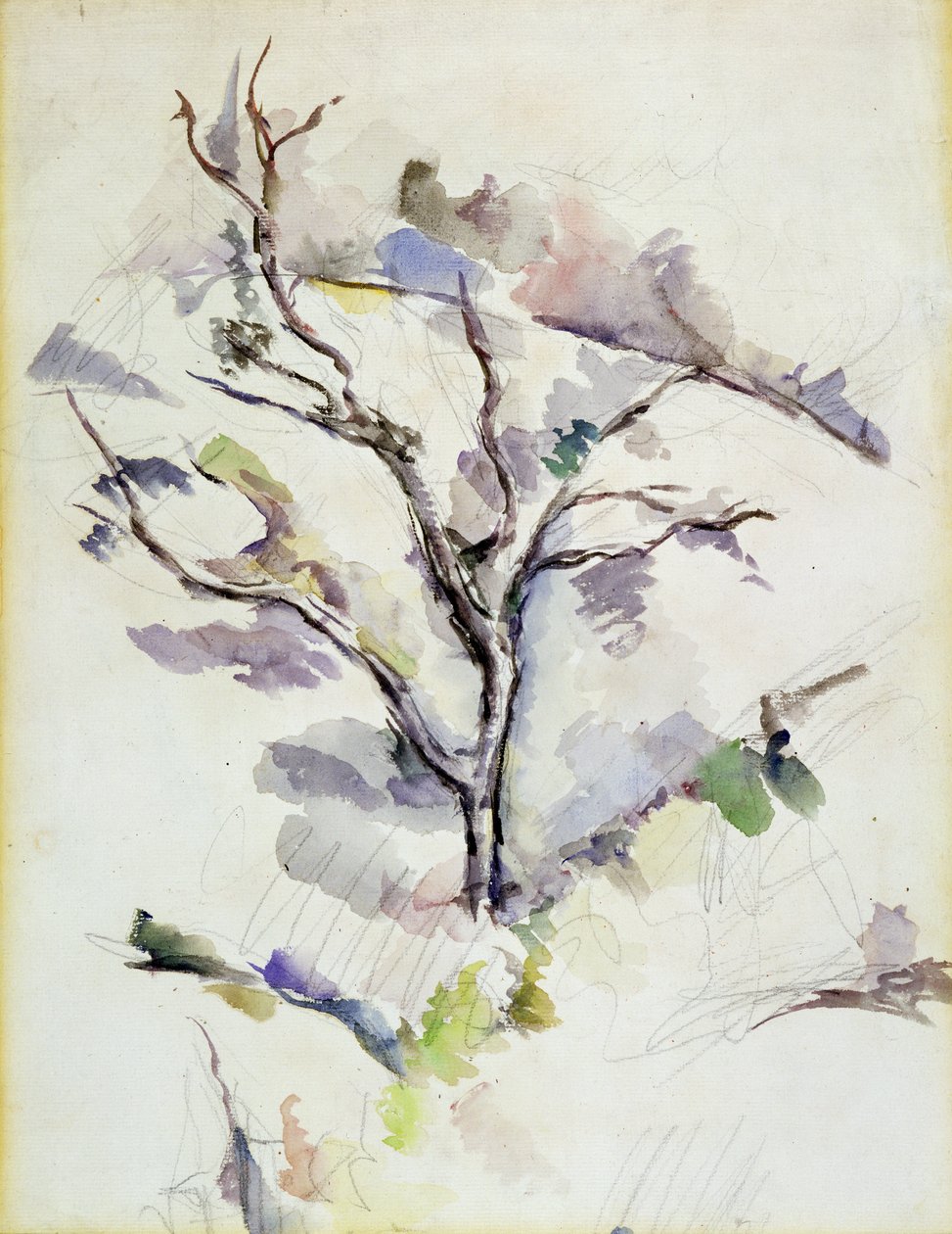 The Oak de Paul Cézanne