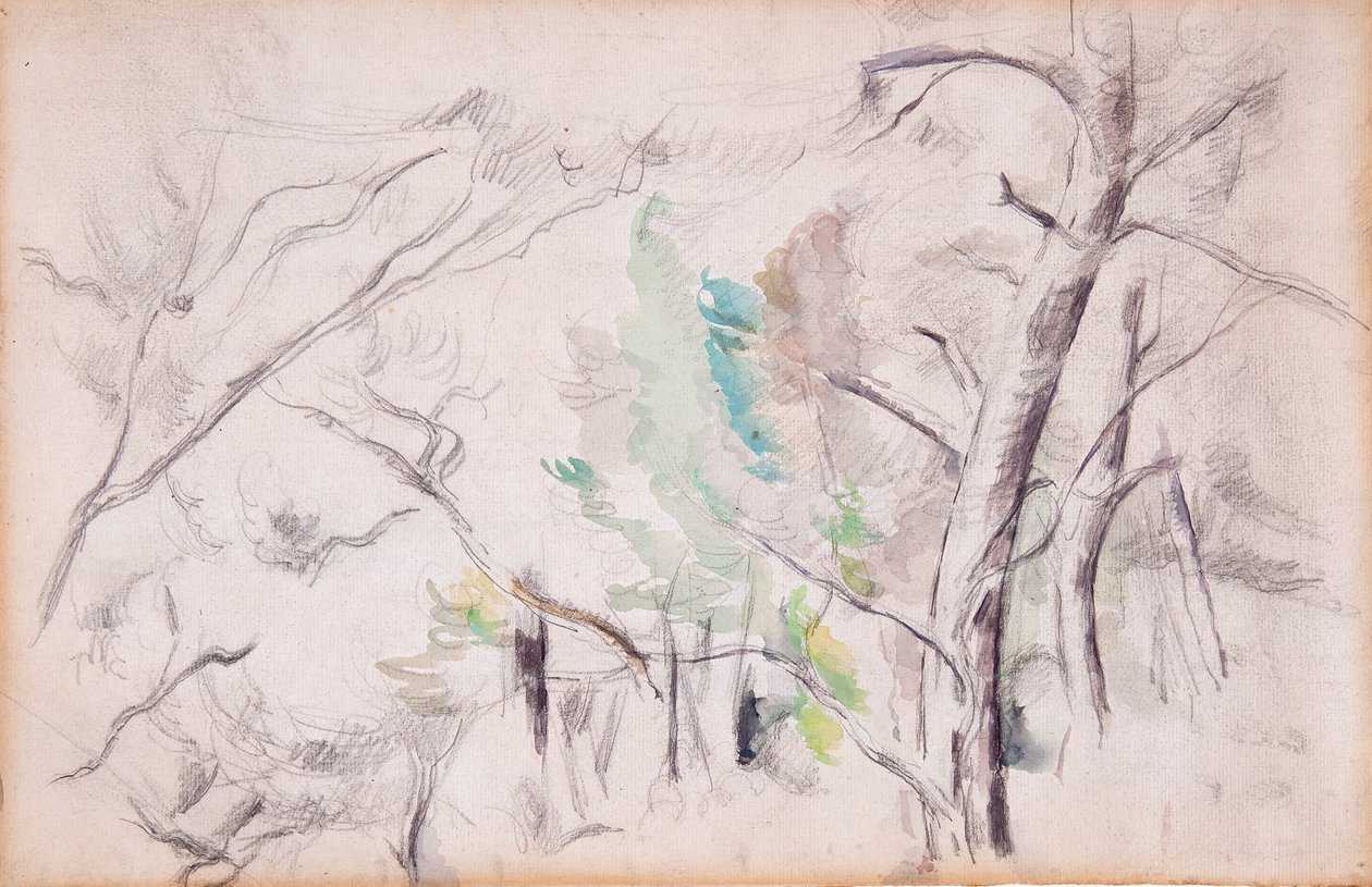 Árvores [reto]; Encagnane com o Pilon du Roi [voltar] de Paul Cézanne