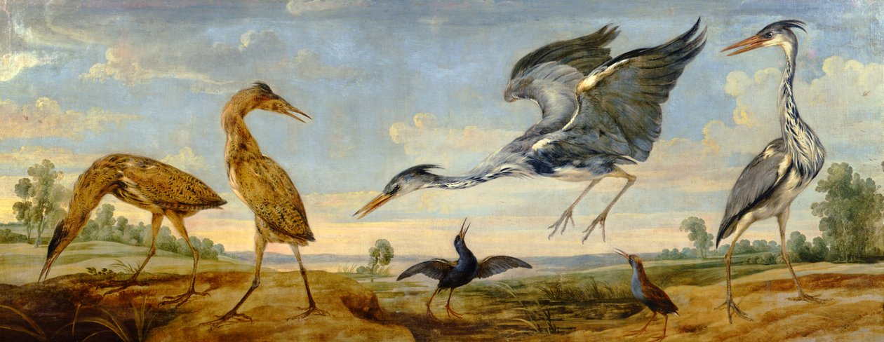 Garças, garças e trilhos de água em uma paisagem de Paul De Vos