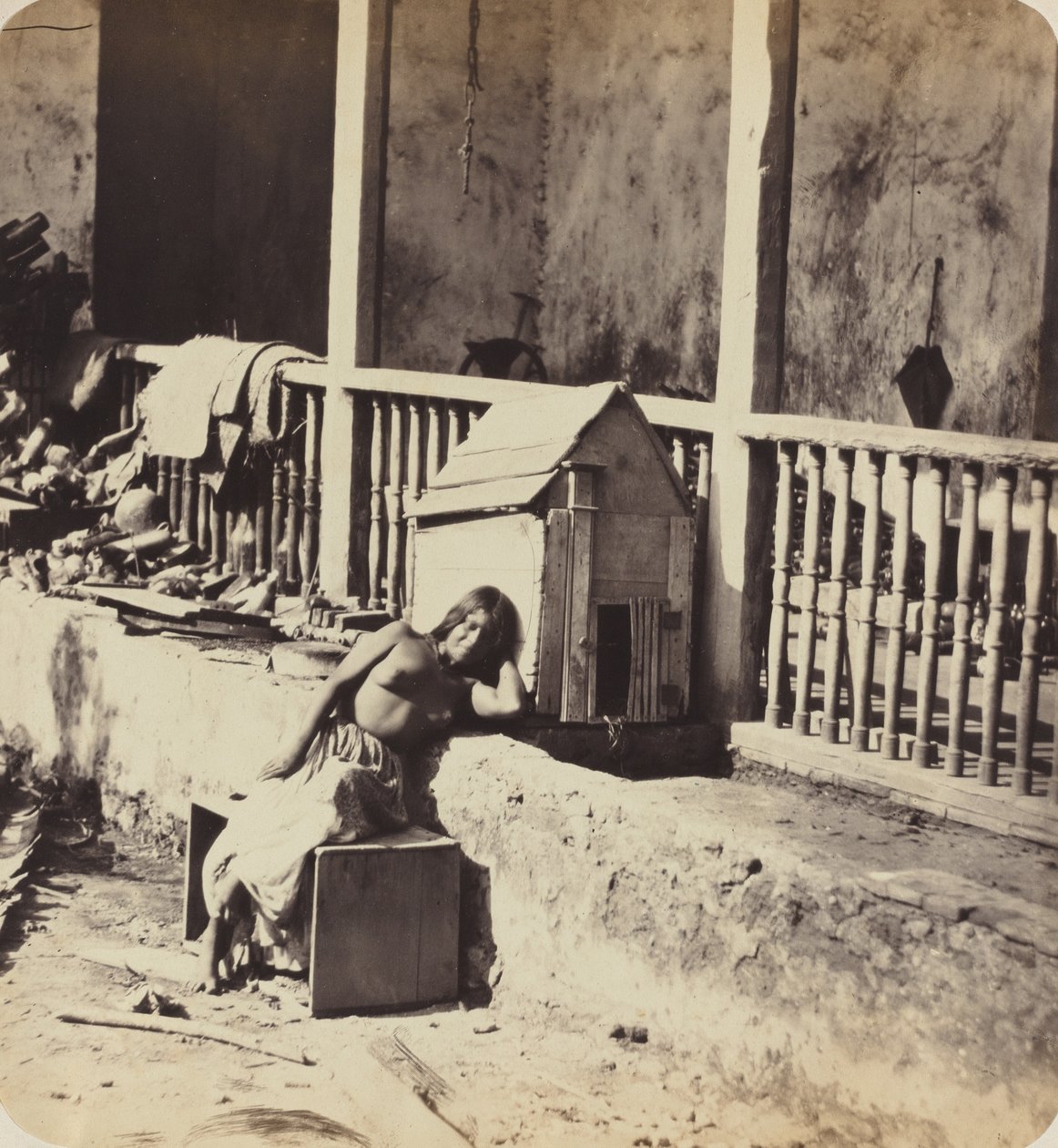 Cão de Garvel (Martinica) de Paul Emile Miot