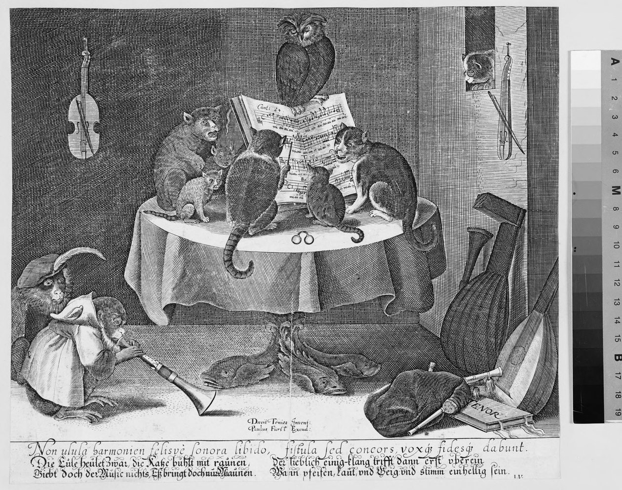 Concerto de corujas, gatos e macacos de Paul Fürst