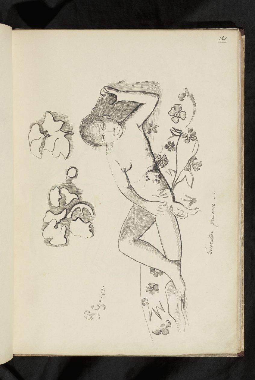 Antes e depois - desenho "Pessoa Decorativa de Paul Gauguin
