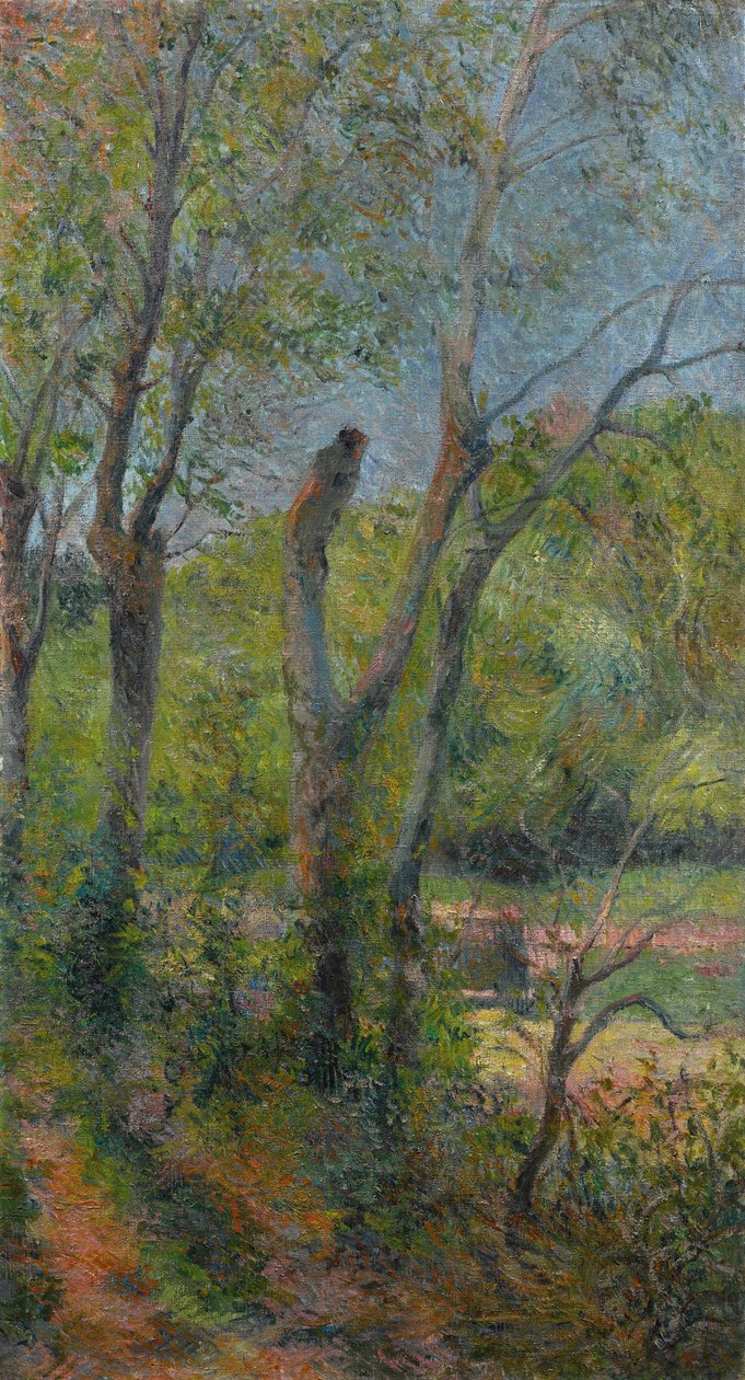 Francês:  Les Saules Willows de Paul Gauguin