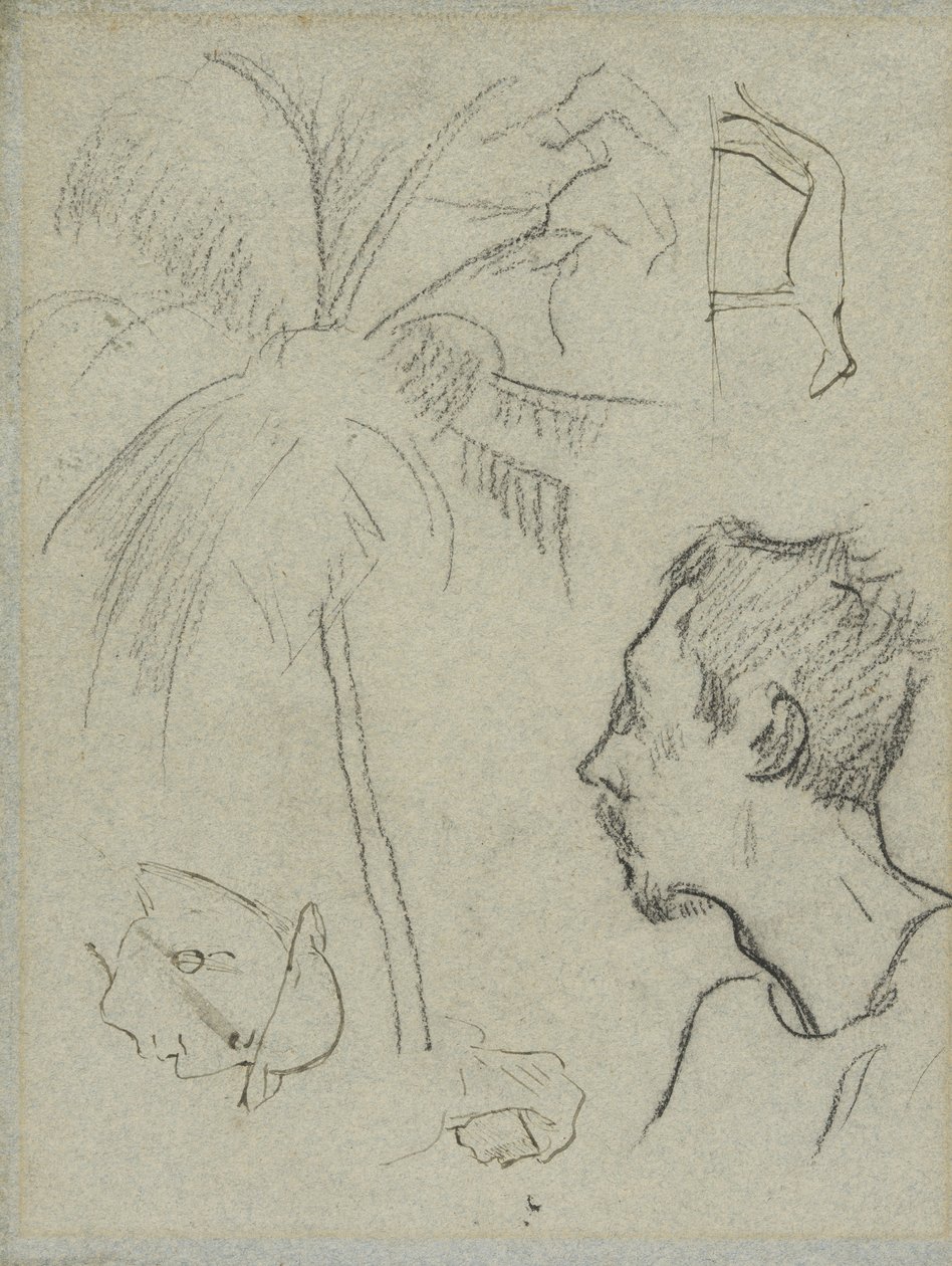 Perfil de Charles Laval com palmeira e outros esboços de Paul Gauguin