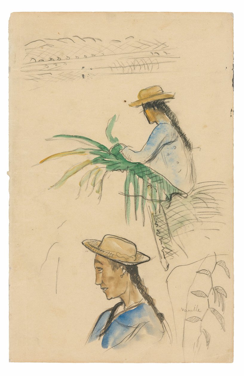 Esboços de figuras, folha de Pandanus e planta de baunilha de Paul Gauguin