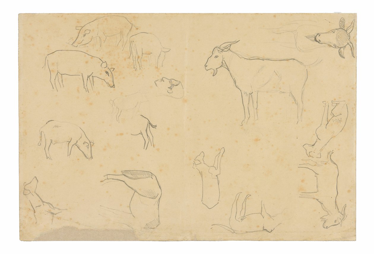 Esboços de vários animais e cabeça (anverso), esboços de uma cabeça, figura de perfil, pormenores anatómicos e animais (verso) de Paul Gauguin