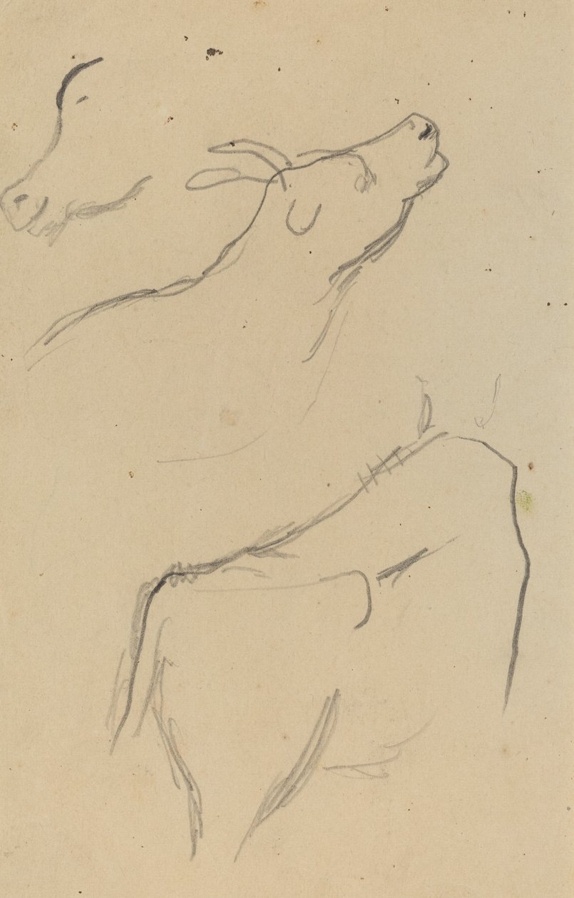 Estudos de uma vaca [verso] de Paul Gauguin