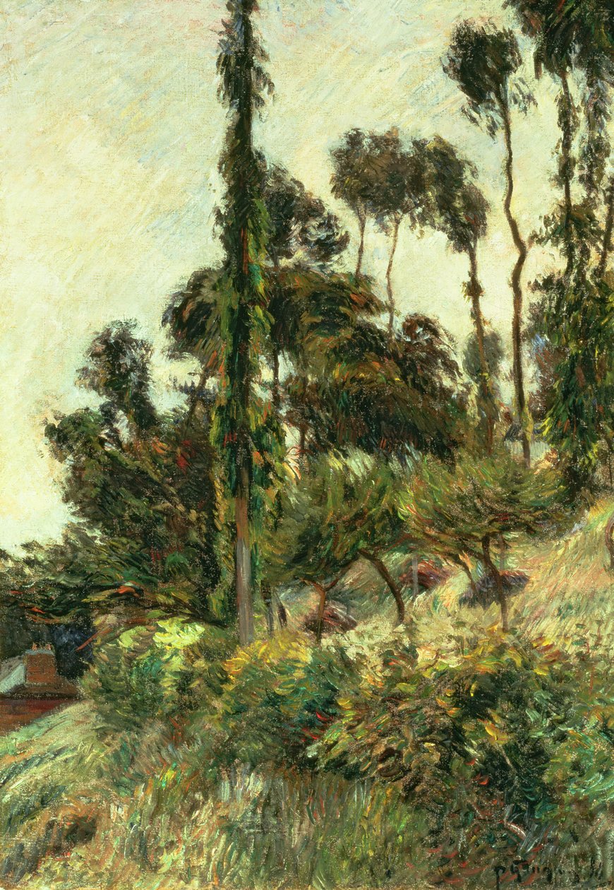 O lado da colina, 1884 de Paul Gauguin