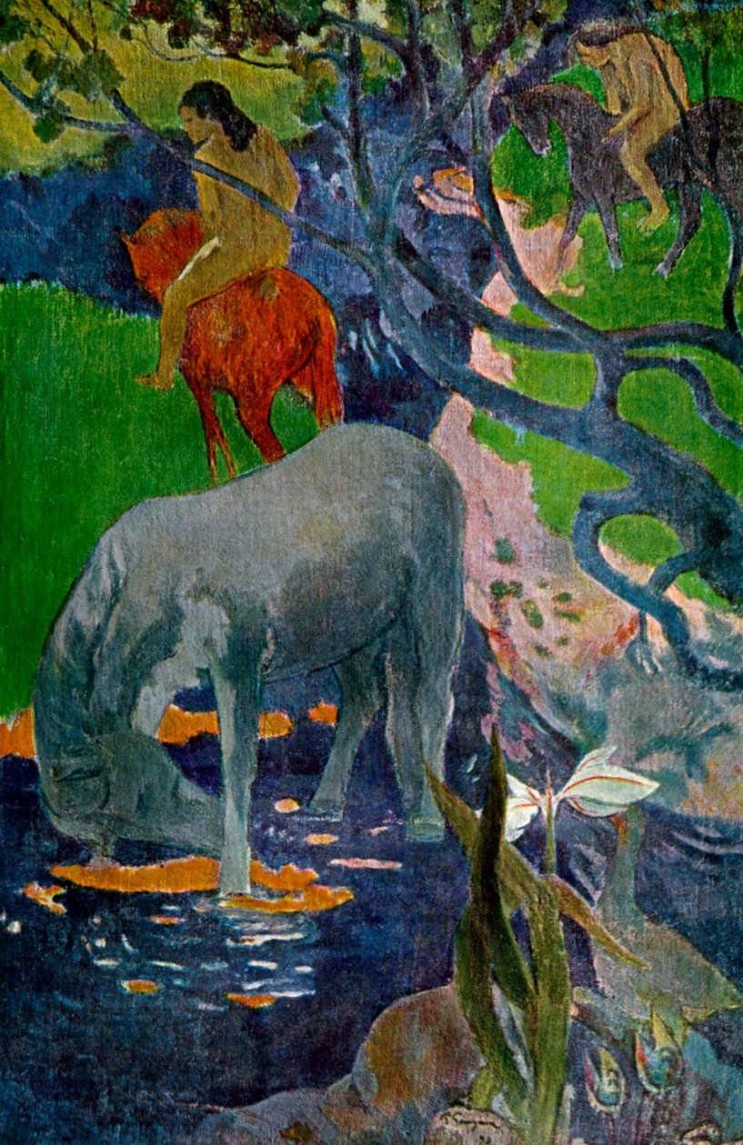 O cavalo branco, 1898 1939. de Paul Gauguin