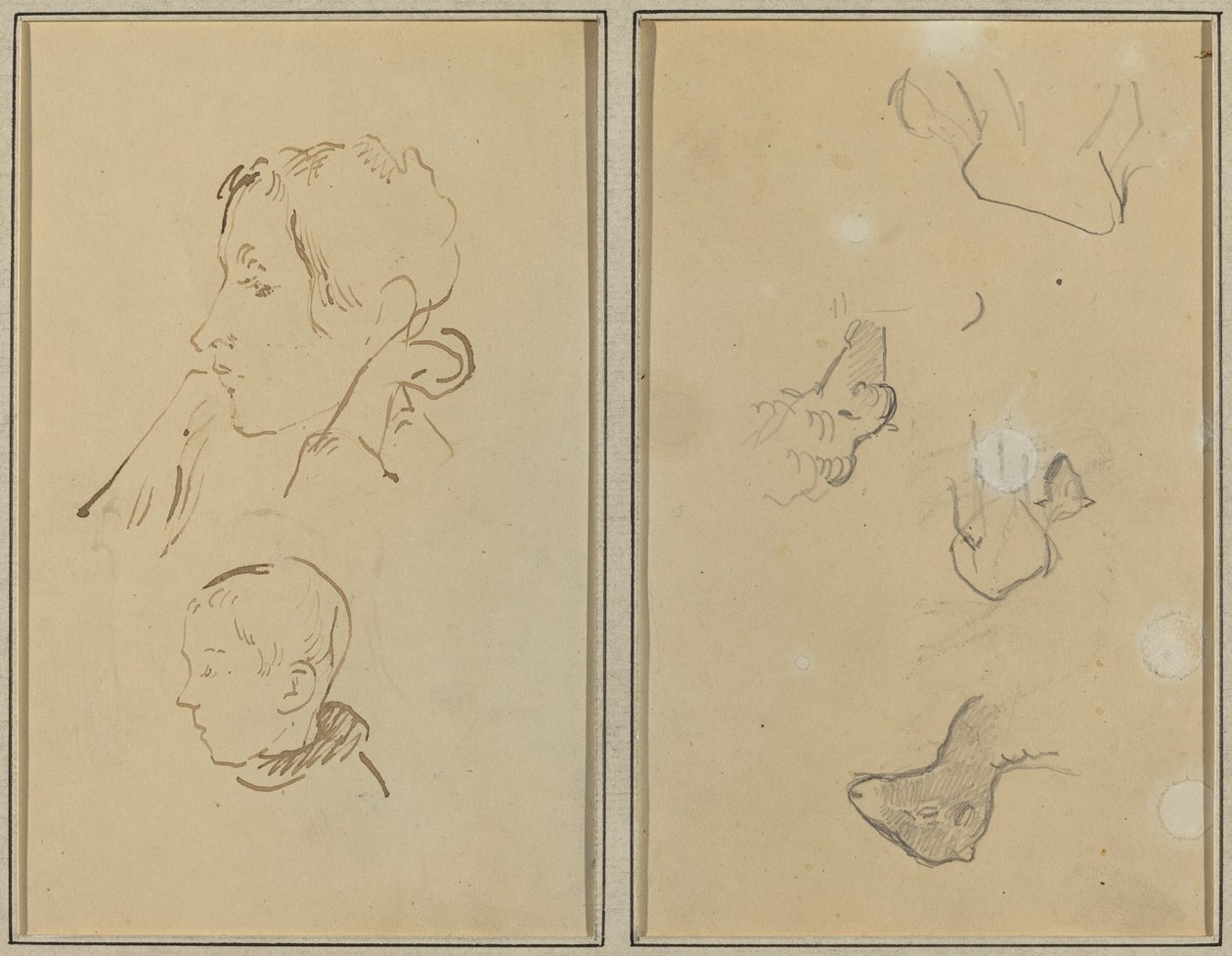 Duas cabeças; Estudos de Ovelhas [reto] de Paul Gauguin