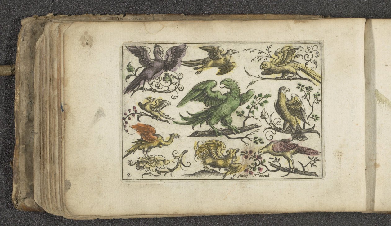 Ave de rapina e dez outras aves Aves (título da série) de Paul Göttich