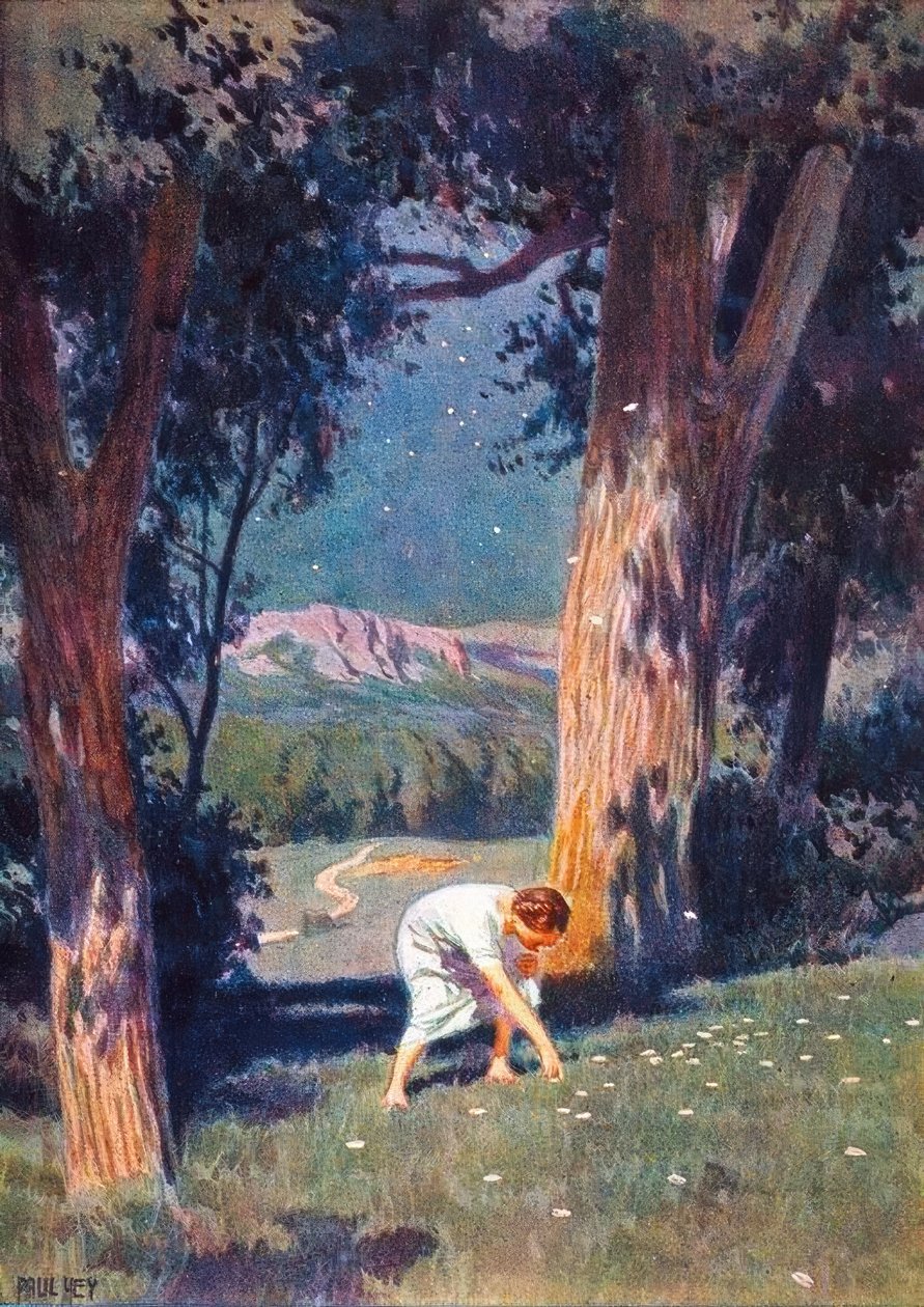 O Dinheiro Estrelado de Paul Hey