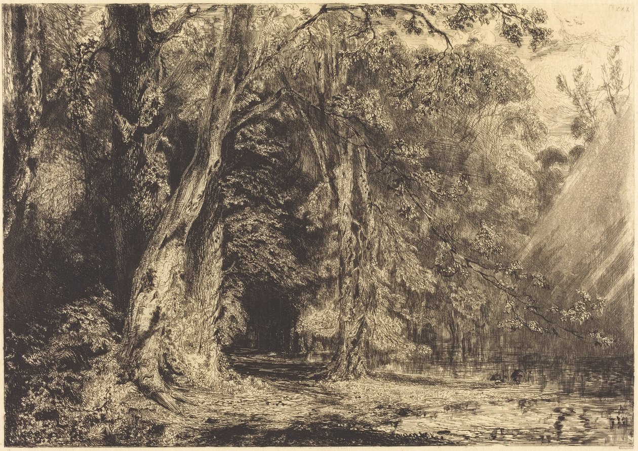 Inundação na floresta da Île Séguin de Paul Huet