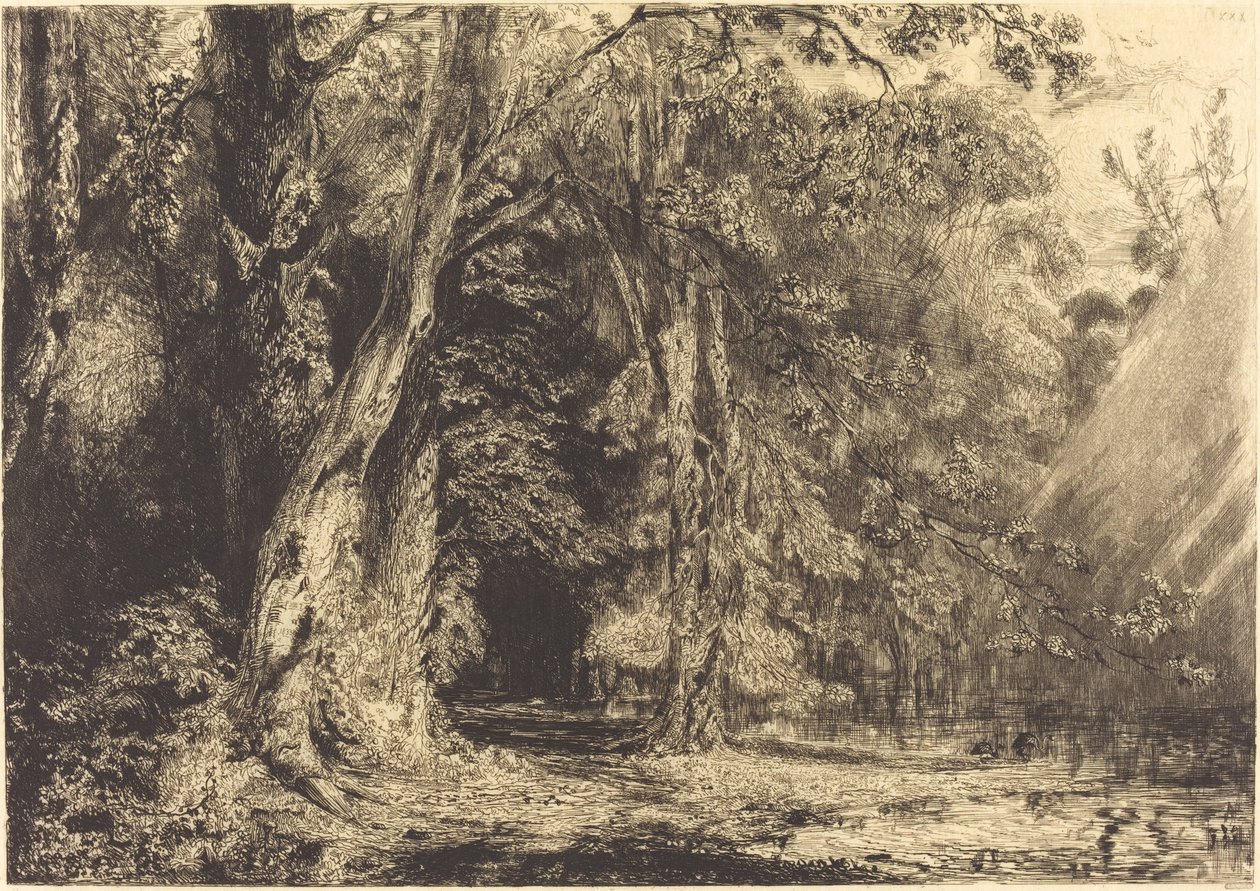 Inundações na floresta da Ile Séguin de Paul Huet
