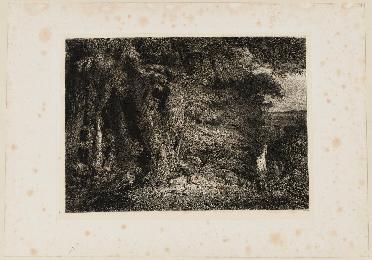 A entrada da floresta. Beraldi 74 de Paul Huet