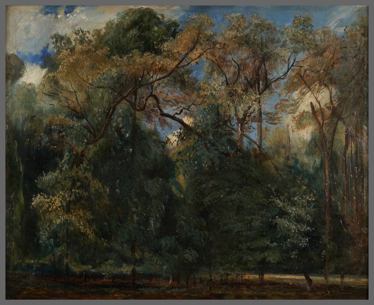 Die Ulmen von Saint-Cloud de Paul Huet