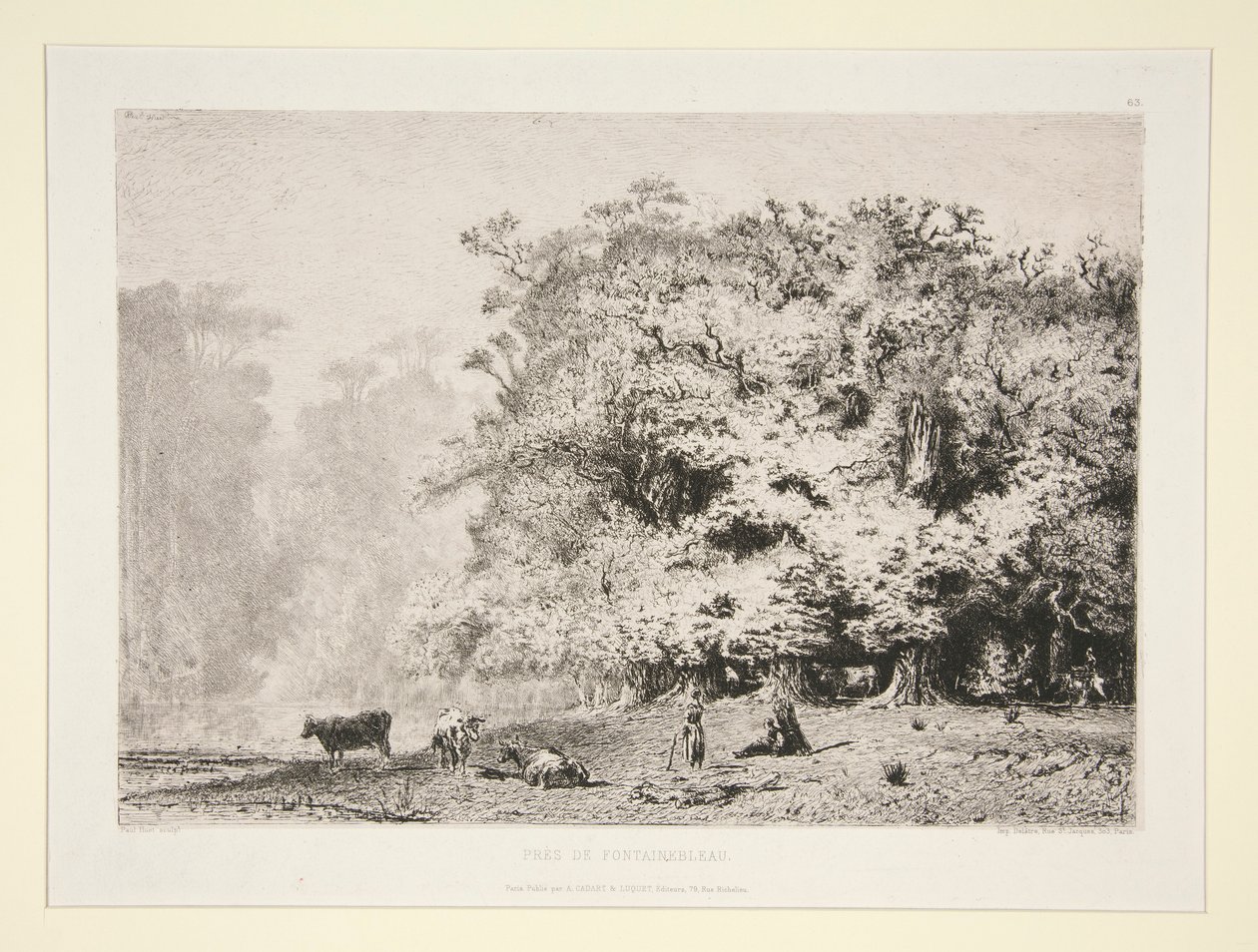 Bosques perto de Fontainebleau de Paul Huet