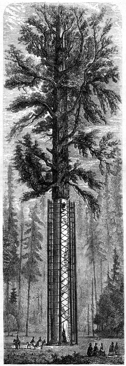 Parque Nacional de Yosemite, Califórnia, século XIX. de Paul Huet