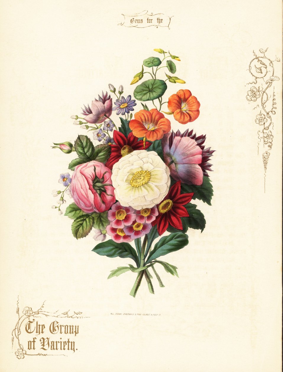 Bouquet de rosa branca, dahlia, nasturtium, auricula. de Paul Jerrard