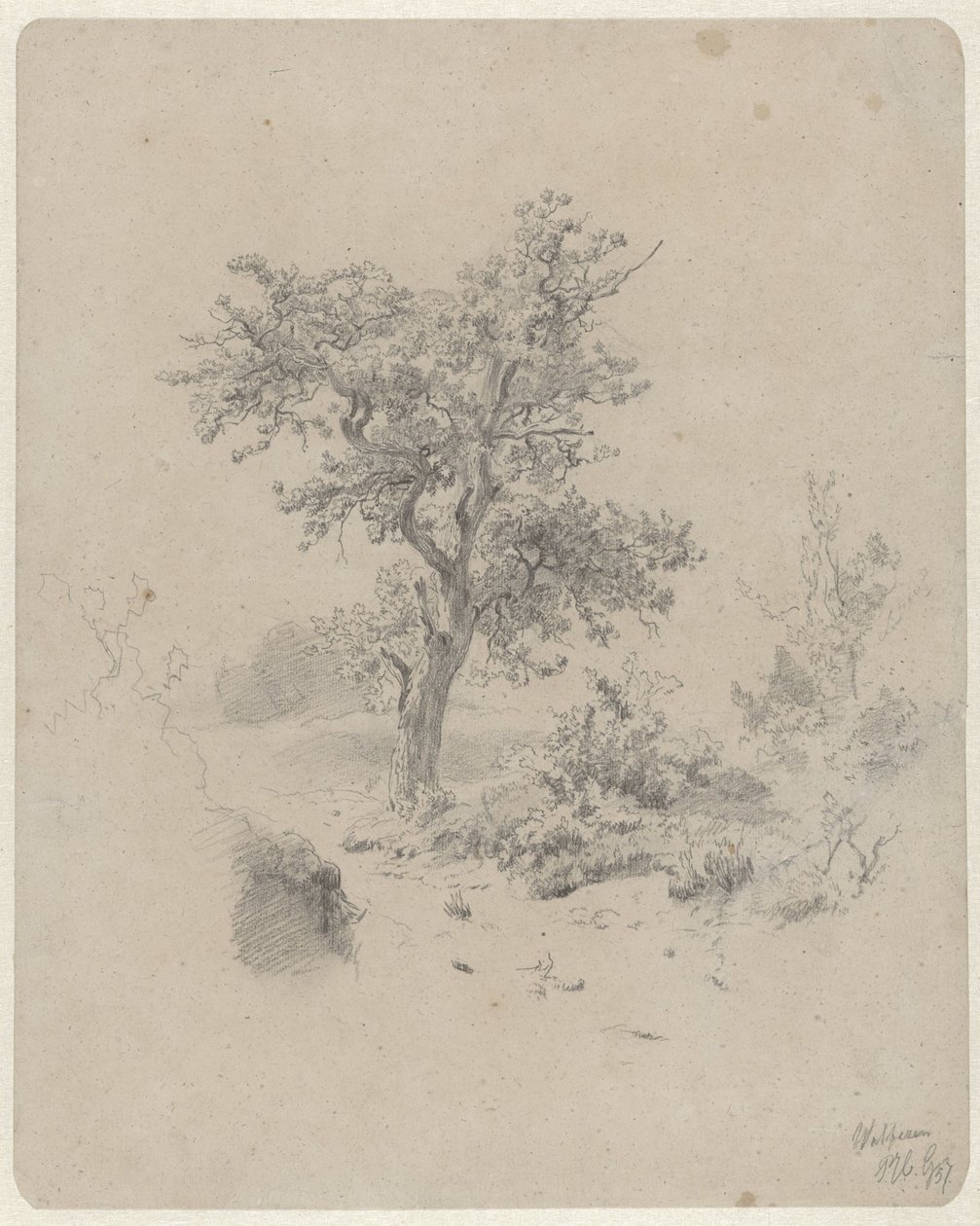 Paisagem com carvalho de Paul Joseph Constantin Gabriel