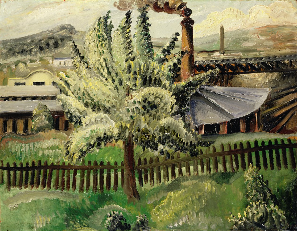 A árvore de Paul Kleinschmidt