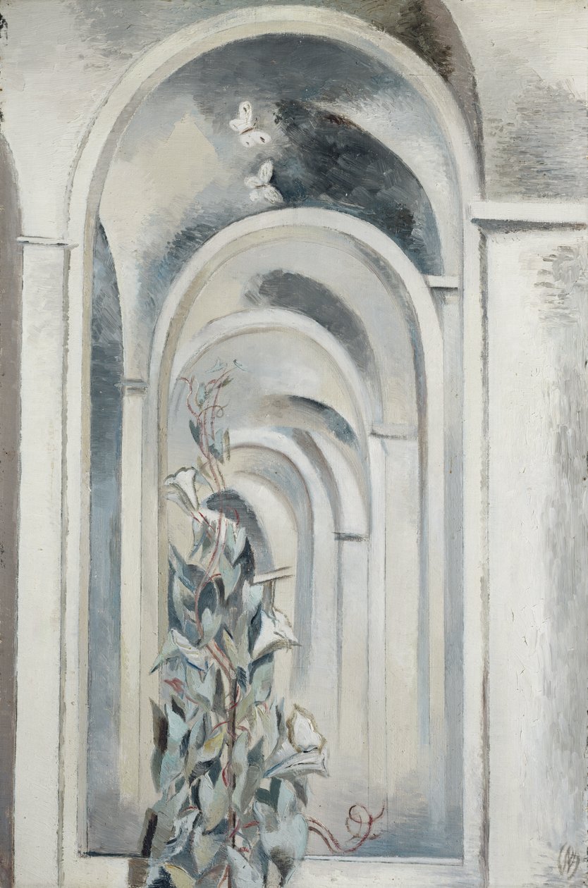 Convolvulus de Paul Nash