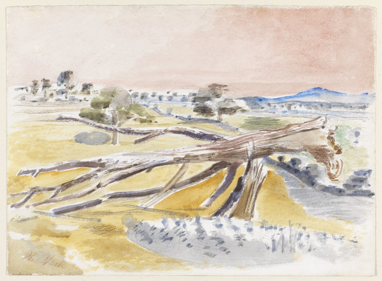 Campo de Monstros, Estudo II de Paul Nash