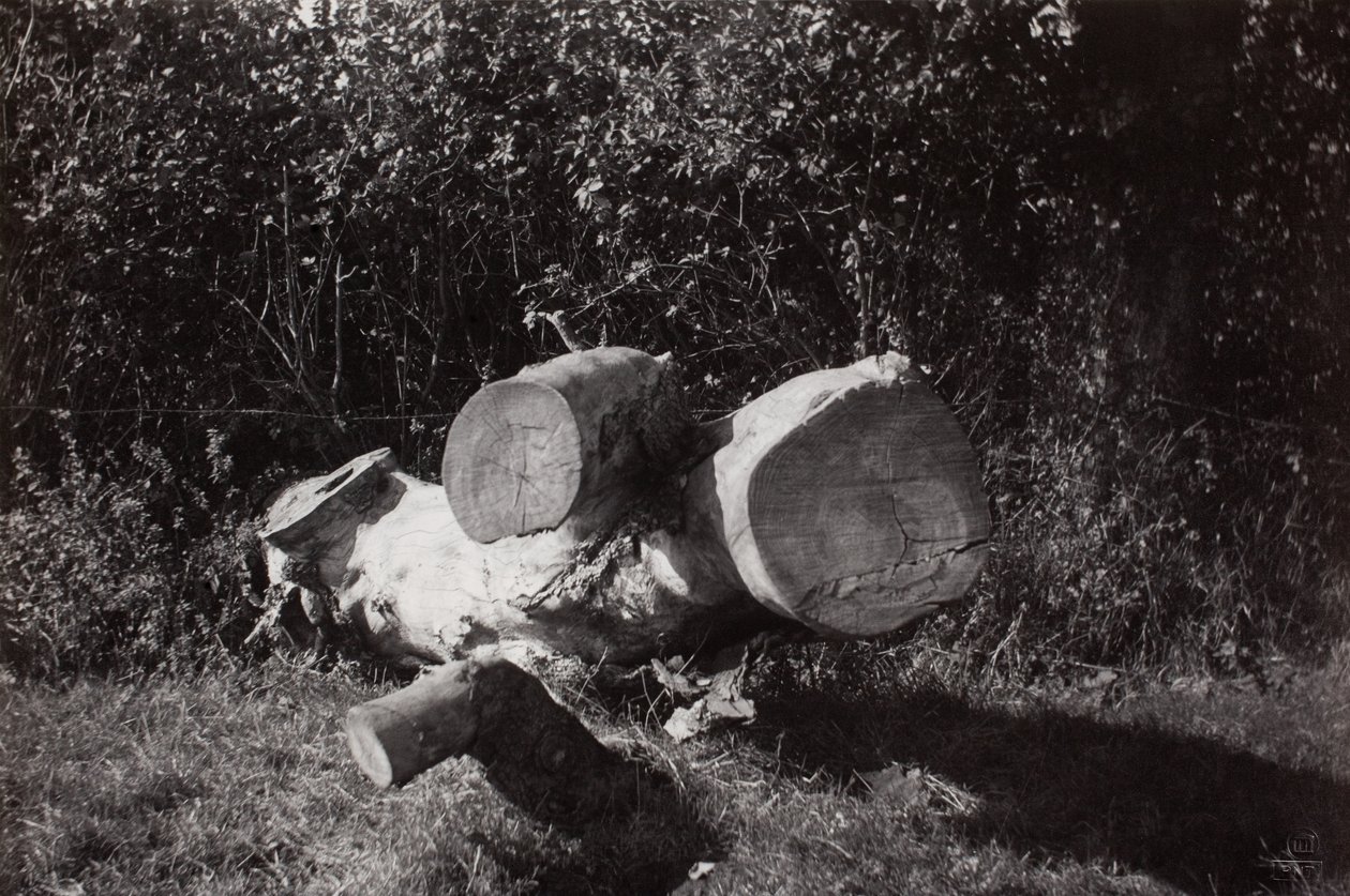 Pesquisa de objectos de Paul Nash