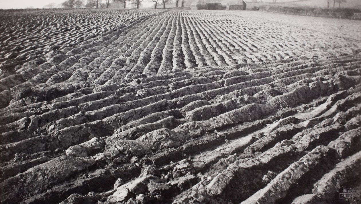 Campo lavrado e palheiros de Paul Nash