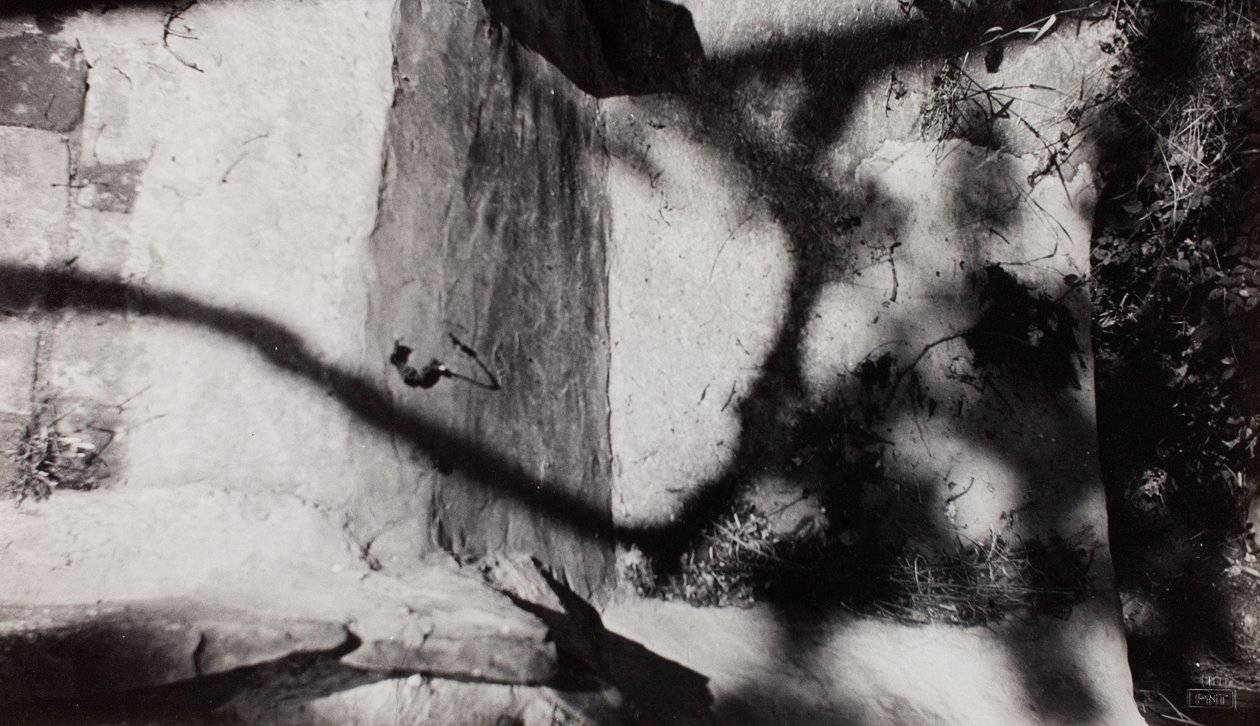 Step Edge; abaixo o jardim de Nash em New House, Rye, Sussex de Paul Nash