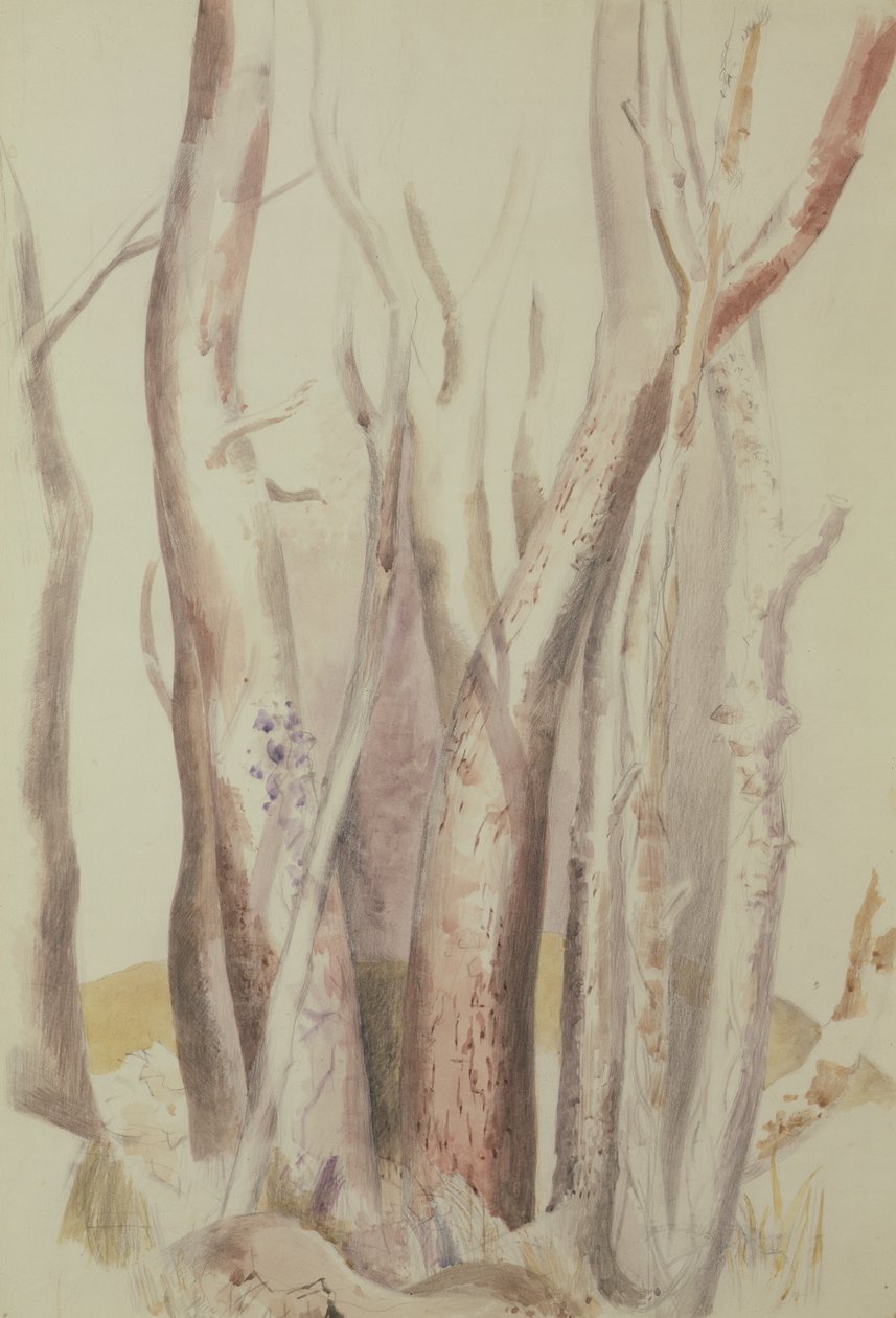Estudo de uma paisagem arborizada de Paul Nash