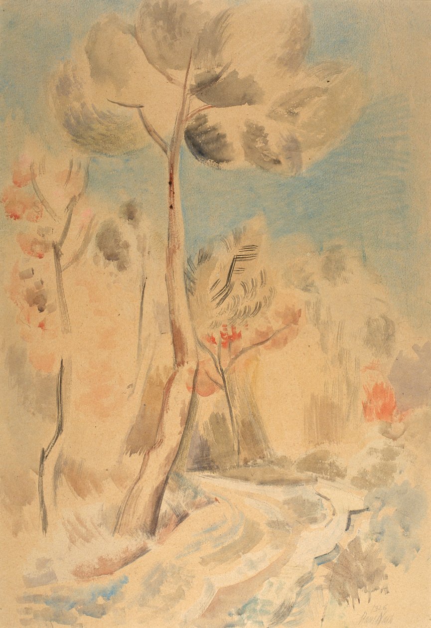O Pinho (lápis e aguarela sobre papel) de Paul Nash