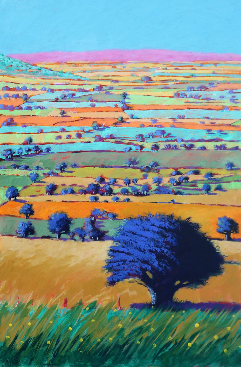 Cotswold Way, 2021 (acrílico sobre cartão) de Paul Powis