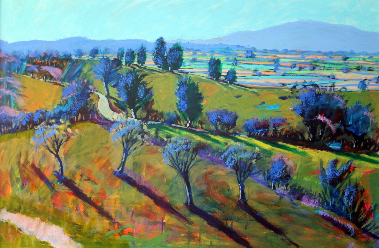 Crickley Hill Spring de Paul Powis