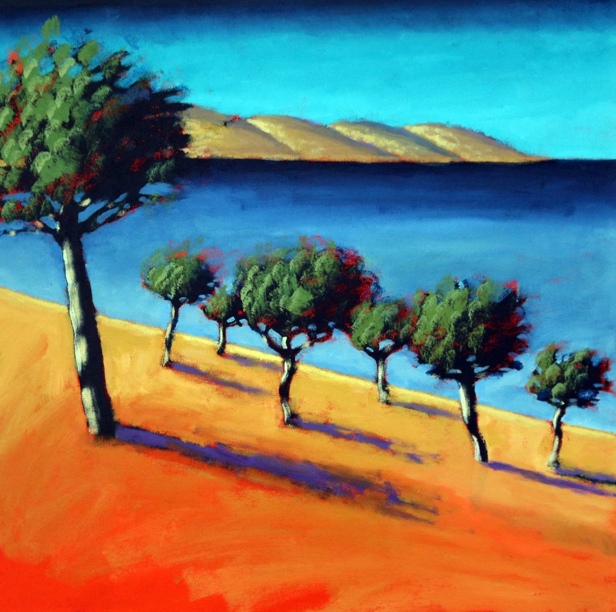 A Baía de Paul Powis