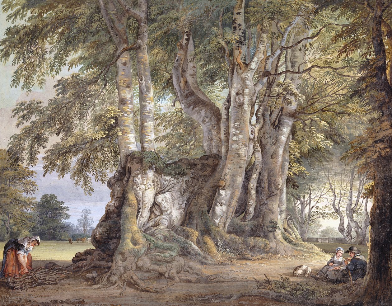 Uma Rapariga Camponesa que reúne Galhos, e Figuras Sentadas pelo Bole of an Ancient Gnarled Beech Tree, de Paul Sandby