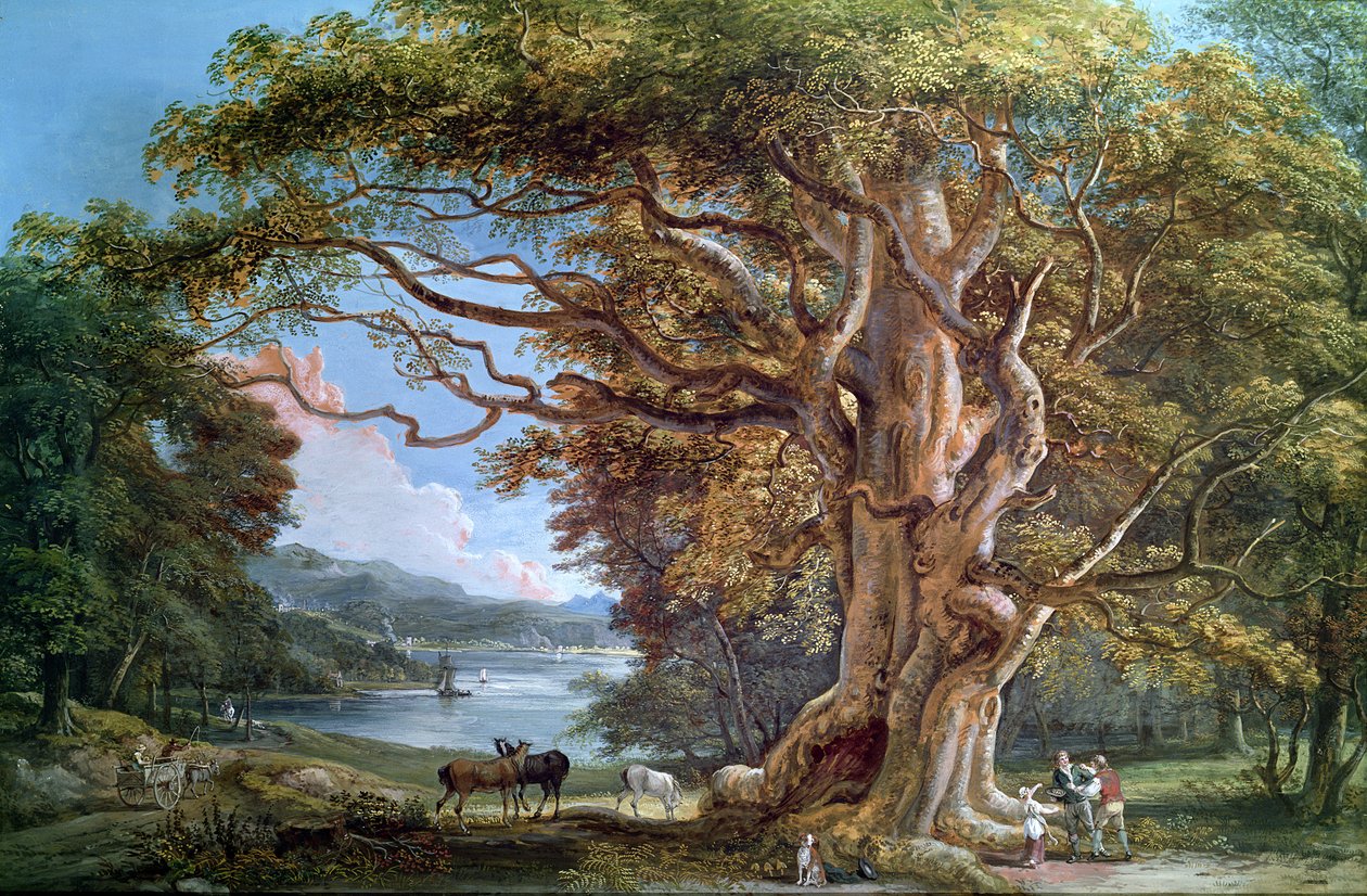 Uma antiga faia, 1794 de Paul Sandby