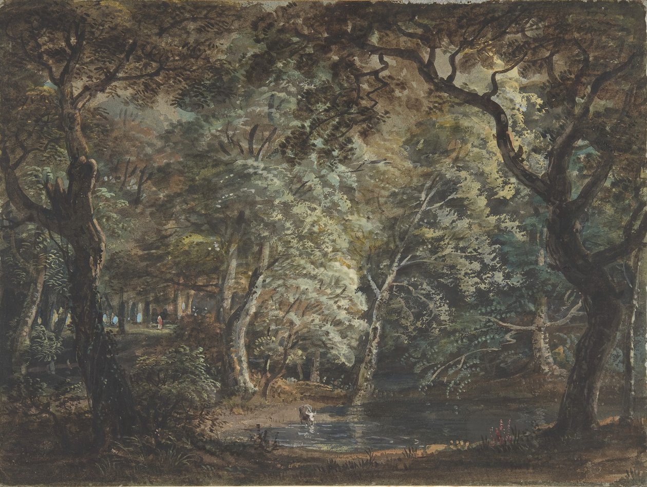 Windsor Great Park, 1790-99. de Paul Sandby
