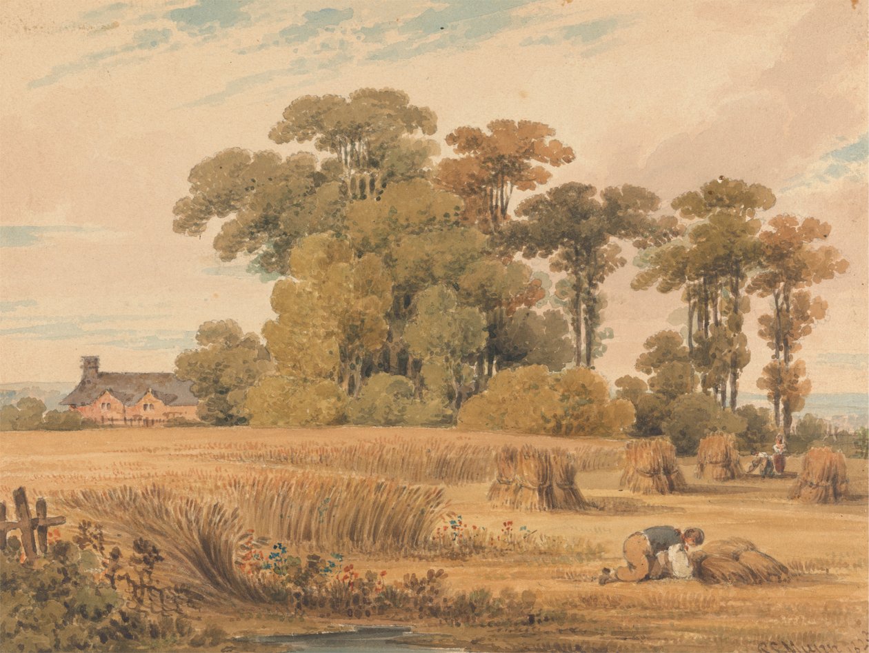 Um campo de milho de Paul Sandby Munn
