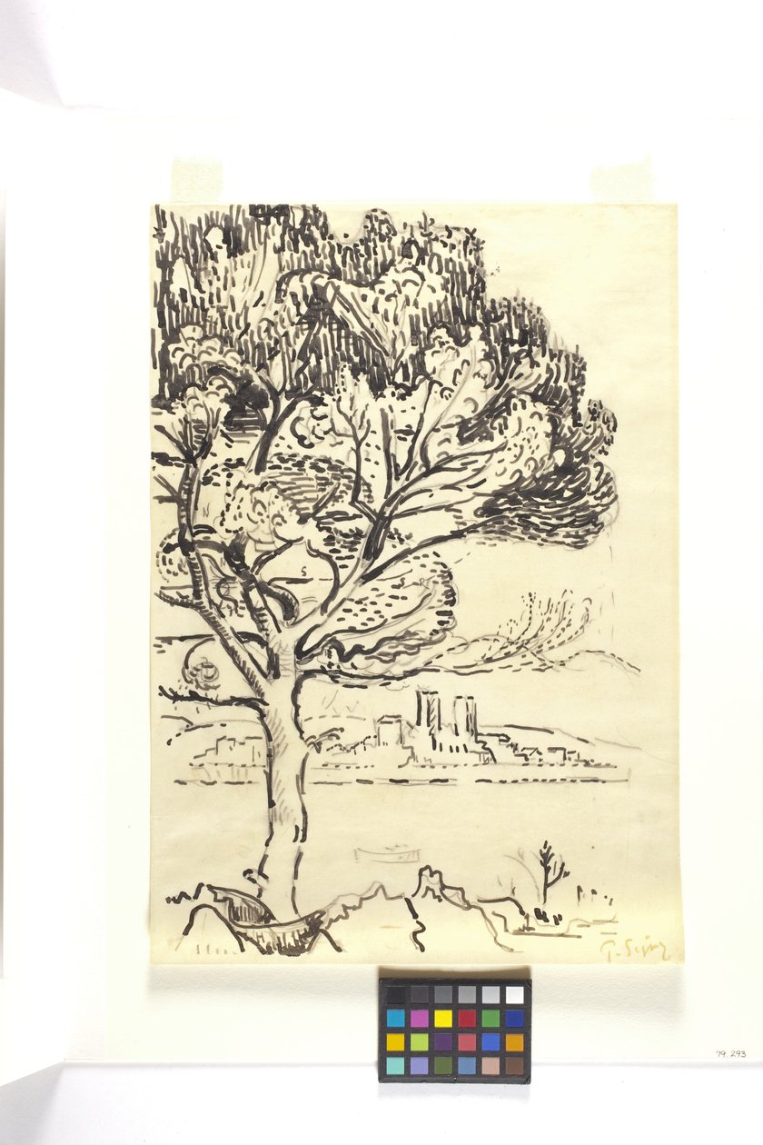 Antibes, Umbrella Pine In The Foreground (Antibes, Pin Pignon Au Premier Plan) (desenho a tinta preta com lápis preto sobre papel tecido de bronzeado) de Paul Signac