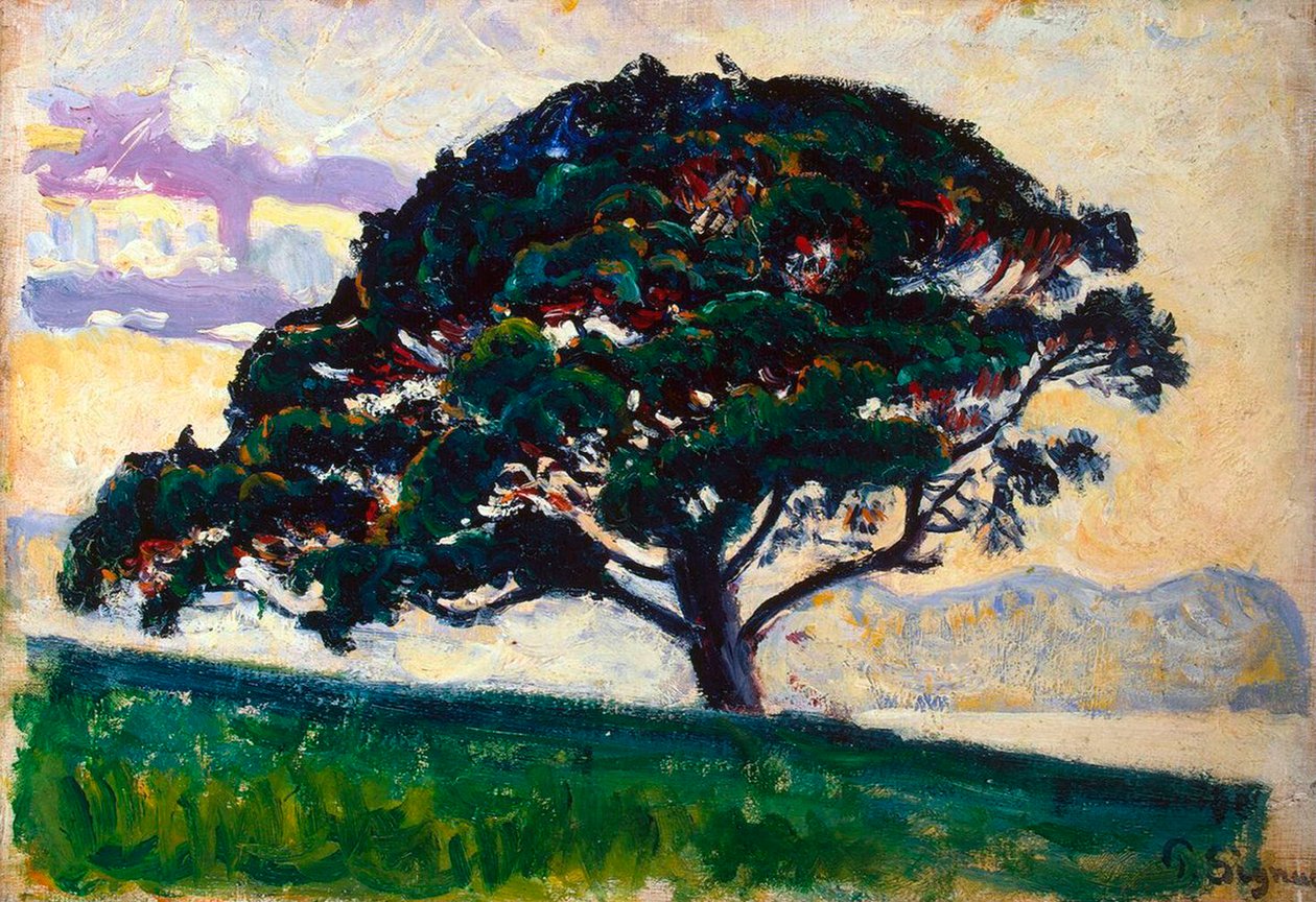 Grande pinho, Saint-Tropez, 1892-1893. de Paul Signac