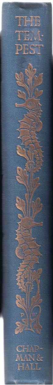 Design de espinha, ilustração da tempestade, 1908 de Paul Vincent Woodroffe