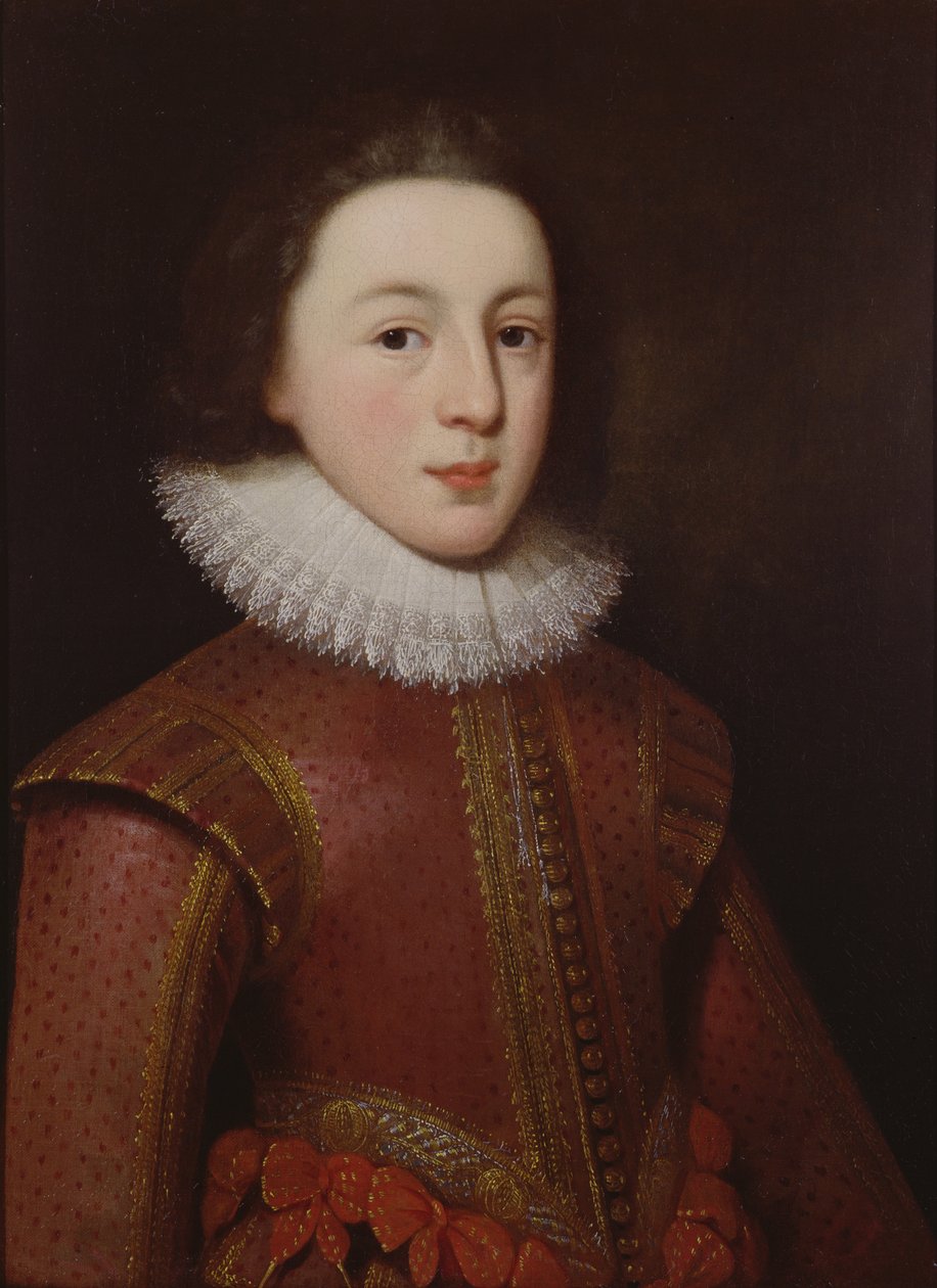 Retrato, de, Henry, príncipe, de, gales de Paul van Somer
